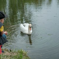 В Митинском парке :: Олег Дорошенко