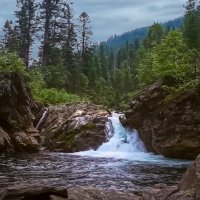 Заповедники России :: Aleksey Afonin