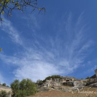 Природа Крыма :: Amazing Cosmea
