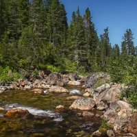 Байкальский заповедник. :: Aleksey Afonin