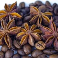 Пряности :: Lyubov Busova