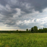 Каринское поле :: Денис Бочкарёв