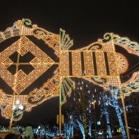 Узоры новогодние :: Дмитрий Никитин