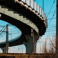 Шушары :: Лана Пипякина