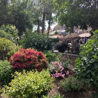 Парк Лога :: Татьяна Пальчикова