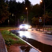 Вечер после дождя :: Dar(k) Life
