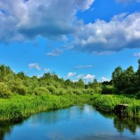 Родниковая речка Свинцовка. :: Восковых Анна Васильевна 