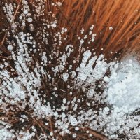 Пузырьки. :: Михаил Свиденцов