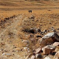 ПО ГОРАМ, осень. :: Виктор Осипчук