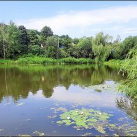 Ставок в деревне :: Сеня Белгородский