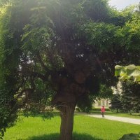 ЛЕ БО 2 (14) :: CLOSE WAYS ALL