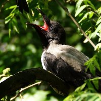 Секонд :: kolyeretka 