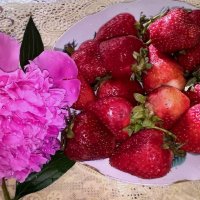 С добрым утром! :: Елена Семигина