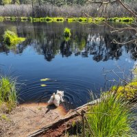 The thirst.. :: Arturs Ancans