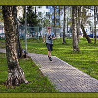 Пробежка :: Владимир Кроливец