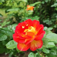 ,,, :: Сергей Тимоновский