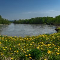 ... :: Жора Житников