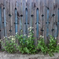 ... :: Саша Милашкин