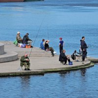 Общий интерес... :: Мария Васильева Общий интерес... :: Мария Васильева