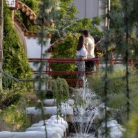 Селфи у фонтанов :: Сергей 