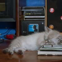 СИСАДМИН СПИТ - СЛУЖБА ИДЁТ!   :-) :: Володька Завитушкин