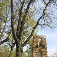 Стрельна. Орловский парк :: Наталья Герасимова