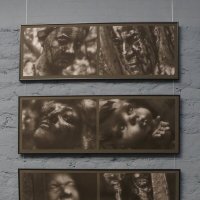 Донское :: zavitok *