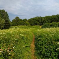 День России. Для меня Россия такая :: Андрей Лукьянов