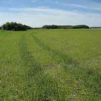 На острове :: Anna Ivanova На острове :: Anna Ivanova