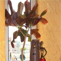 Африканские мотивы :: Alisia La DEMA Африканские мотивы :: Alisia La DEMA