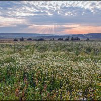 Утро :: **** vedin