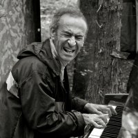 Рояль в кустах :: СЮ 