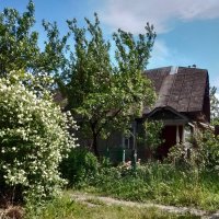 *** :: Валентина Береснева