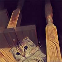 Колорит :: константин