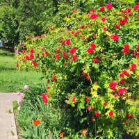 ,,, :: Сергей Тимоновский