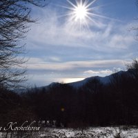 Природа Крыма :: Amazing Cosmea