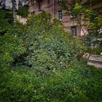 Старый город 51. :: Андрей. 