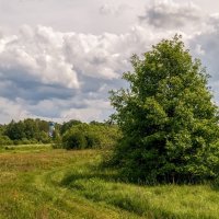 **** :: Андрей Дворников