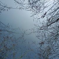 Какое небо голубое... :: Pippa 