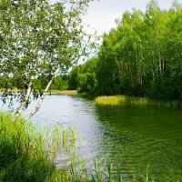 Смоленское лето (репортаж из поездок по области). :: Милешкин Владимир Алексеевич 