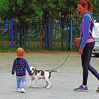 Июнь...Песик- член этой молодой семьи! :: Владимир 