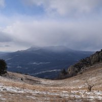 Природа Крыма :: Amazing Cosmea