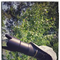 Чтобы голову не напекло. :: Вадим Басов