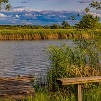Скамейка у озера :: Юра Викулин Скамейка у озера :: Юра Викулин