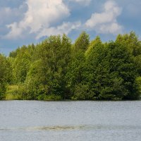 Природа на озере :: Александр Синдерёв