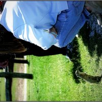 suslik :: Denis Lipatov