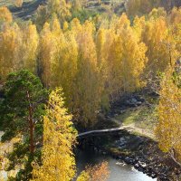 краски осени :: Игорь 