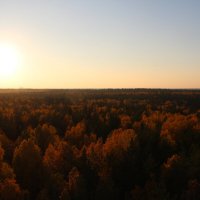 краски осени :: Игорь 