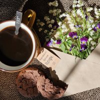 Утро доброе! :: Галина Левина