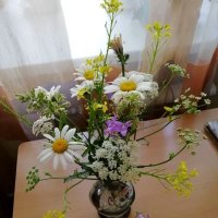 Прекрасной летней недели,друзья! :: Нина Андронова